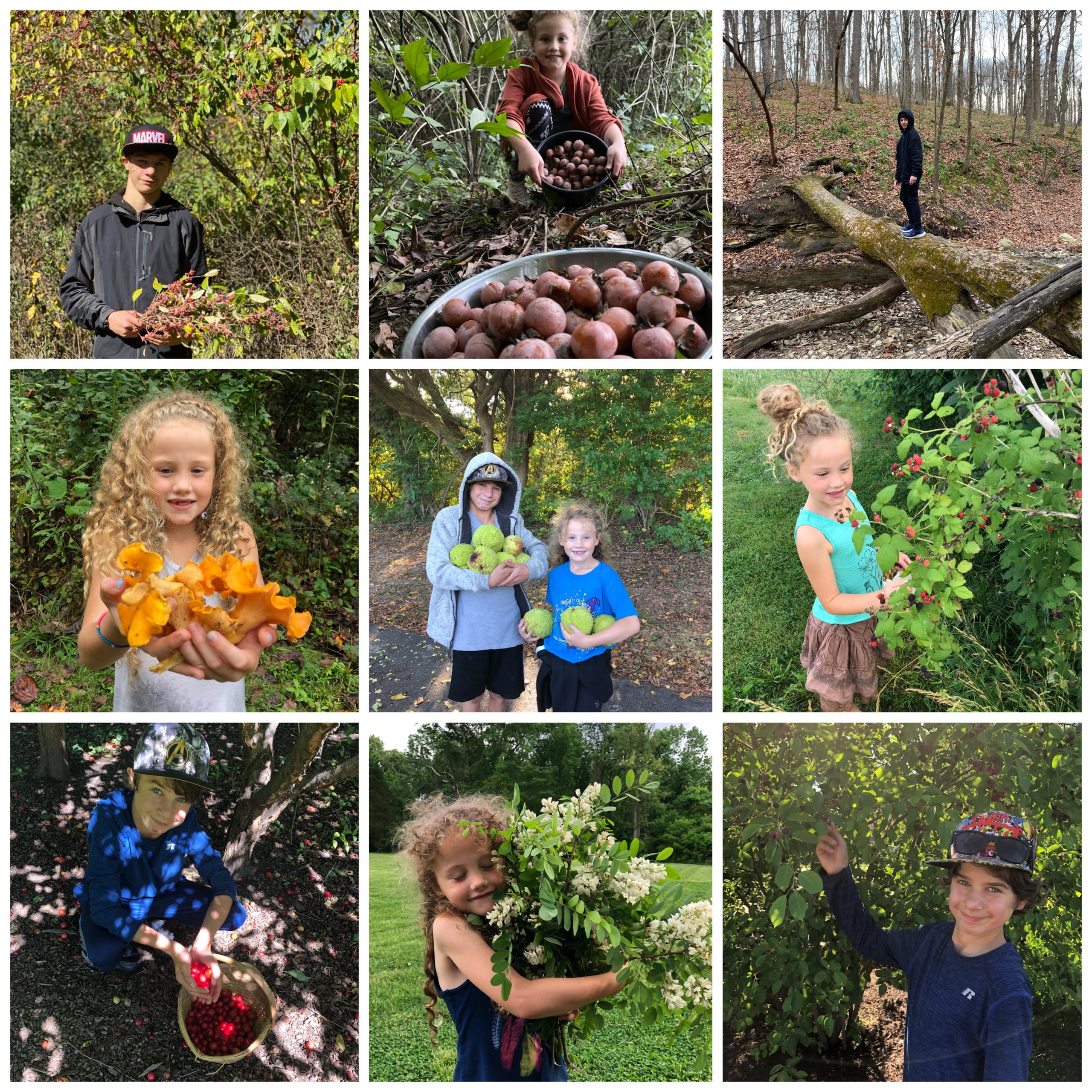 foraging-with-kids-at-flourish-farm-3-3-2024-3-4-pm-my-site